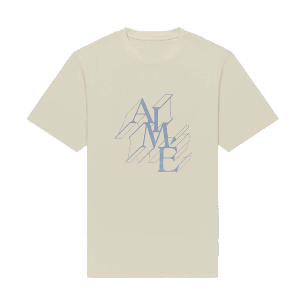 Aimeleondore Merch Dimensions Logo T-Shirt Gift Ideas For Son