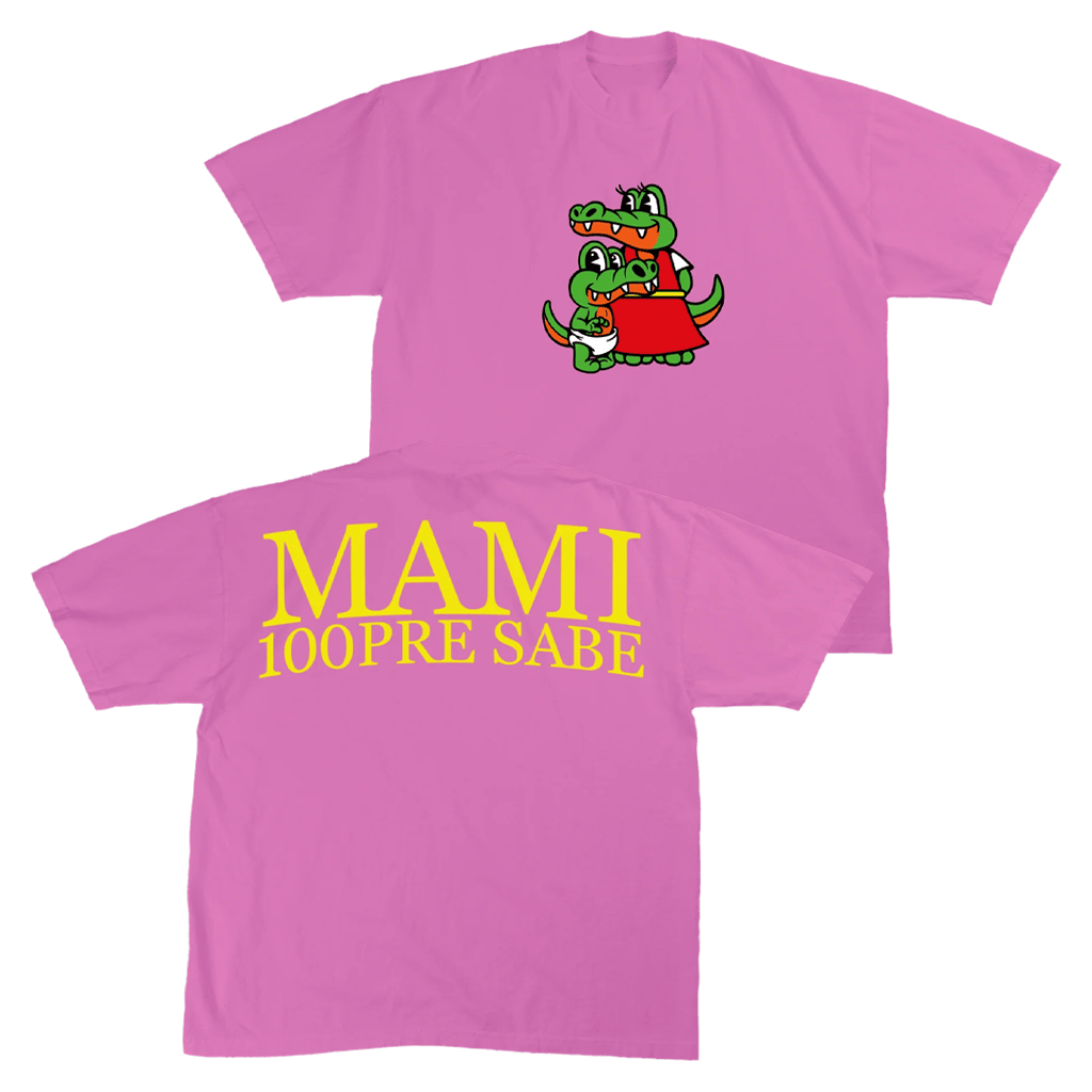 Alvaro Diaz Merch Coquito Pink T-Shirt Presents For Wife