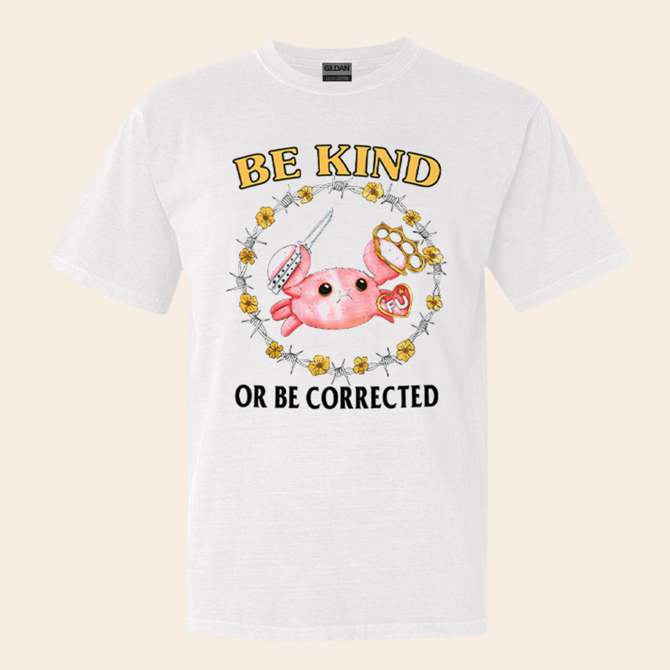 Be Kind Or Be Corrected T-Shirt Cute Graphic Tees Birthday Gifts For Best Friend
