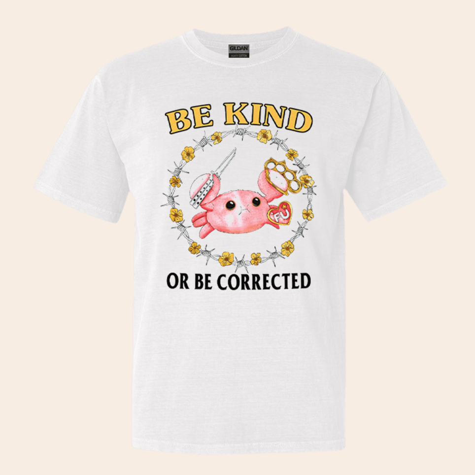 Be Kind Or Be Corrected T-Shirt Cute Graphic Tees Christmas Gifts For Him Best Friend Gifts