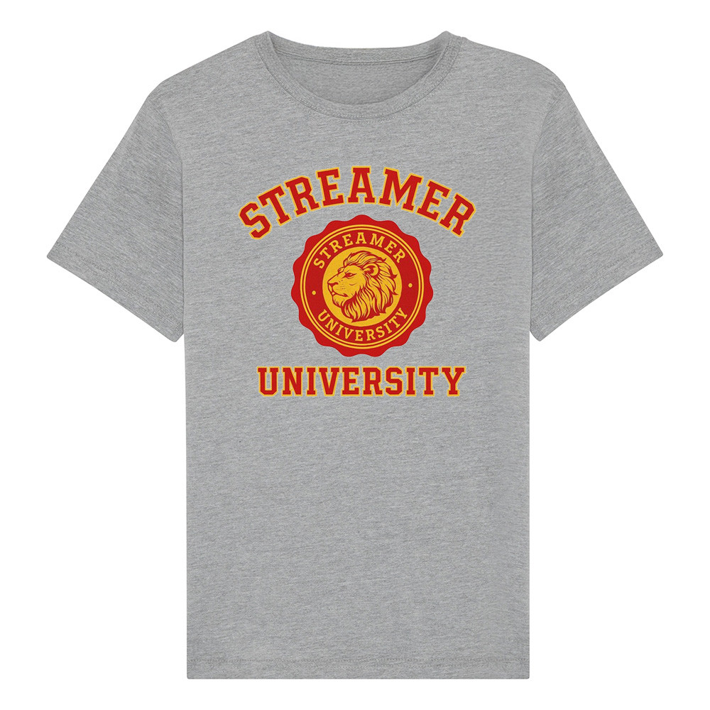 Streaming University Merch Streaming University T-Shirt Fathers Day Delivery Gifts