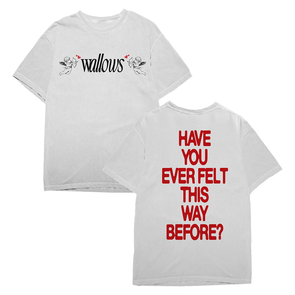 Wallows Merch Wal Angel T-Shirt Rock Band Fans Gifts For Husband