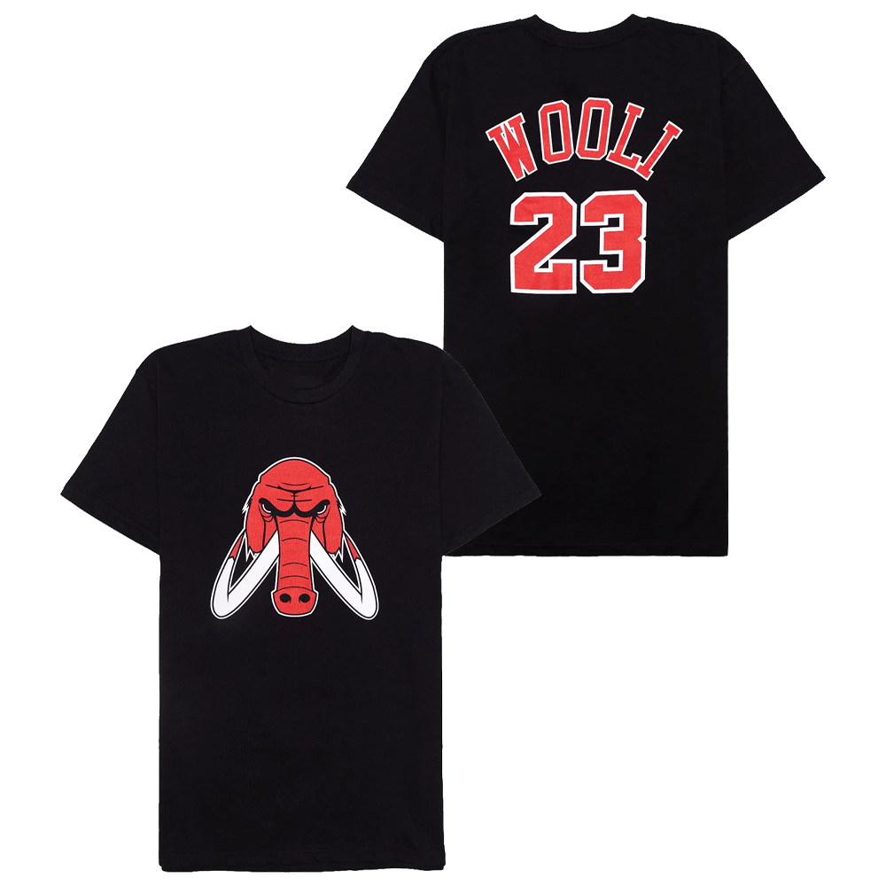 Wooli Merch Wooli T-Shirt Father In Law Gifts Dads Day